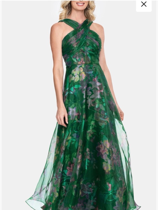Betsy & Adam Dresses & Skirts - Betsy & Adam Floral Print Organza Sleeveless Gown